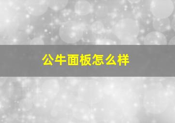 公牛面板怎么样