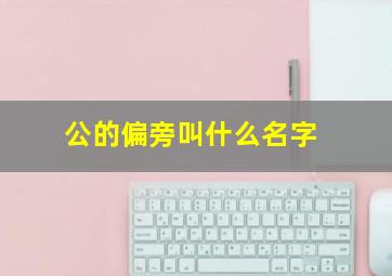 公的偏旁叫什么名字