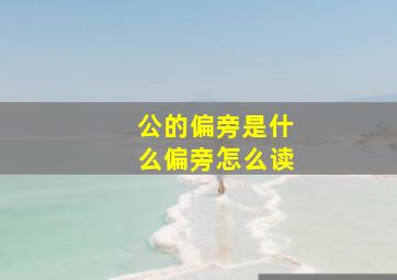 公的偏旁是什么偏旁怎么读