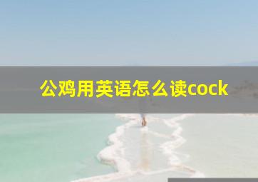 公鸡用英语怎么读cock