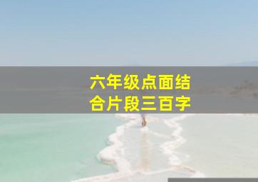 六年级点面结合片段三百字