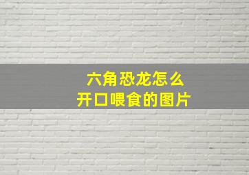 六角恐龙怎么开口喂食的图片