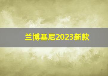 兰博基尼2023新款