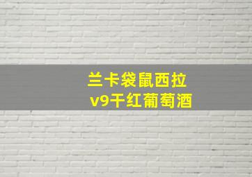 兰卡袋鼠西拉v9干红葡萄酒