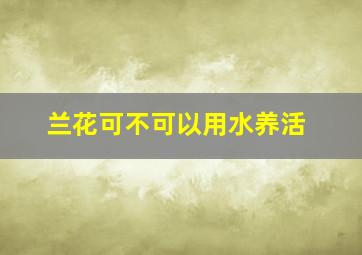 兰花可不可以用水养活