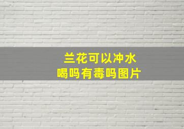 兰花可以冲水喝吗有毒吗图片