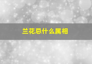 兰花忌什么属相