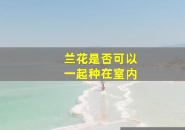 兰花是否可以一起种在室内