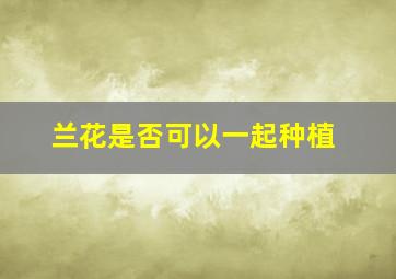 兰花是否可以一起种植