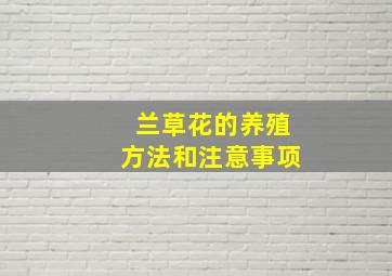 兰草花的养殖方法和注意事项