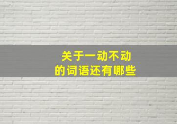 关于一动不动的词语还有哪些