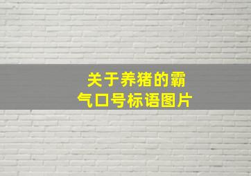 关于养猪的霸气口号标语图片