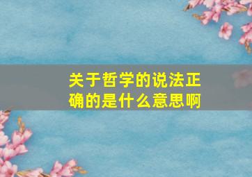 关于哲学的说法正确的是什么意思啊