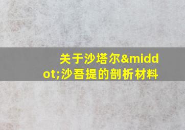 关于沙塔尔·沙吾提的剖析材料