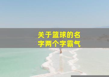 关于篮球的名字两个字霸气