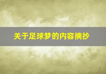 关于足球梦的内容摘抄