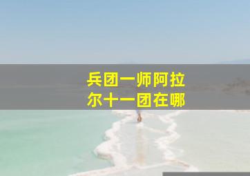 兵团一师阿拉尔十一团在哪