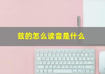 兹的怎么读音是什么