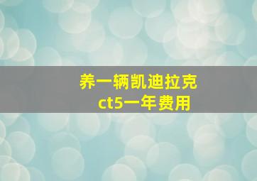 养一辆凯迪拉克ct5一年费用