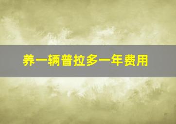 养一辆普拉多一年费用