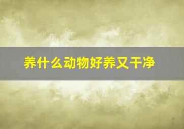 养什么动物好养又干净