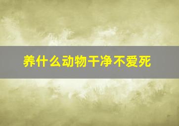 养什么动物干净不爱死