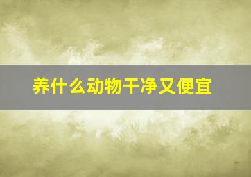 养什么动物干净又便宜