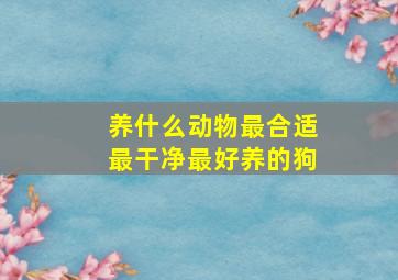 养什么动物最合适最干净最好养的狗