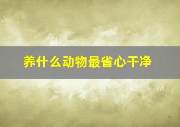 养什么动物最省心干净