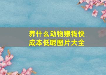 养什么动物赚钱快成本低呢图片大全