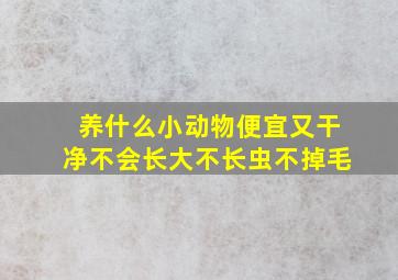 养什么小动物便宜又干净不会长大不长虫不掉毛