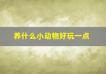 养什么小动物好玩一点