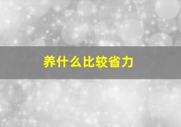 养什么比较省力