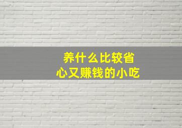 养什么比较省心又赚钱的小吃