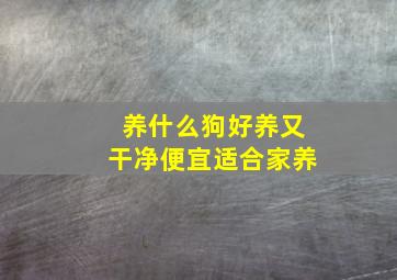 养什么狗好养又干净便宜适合家养