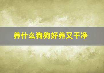 养什么狗狗好养又干净