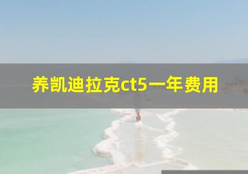 养凯迪拉克ct5一年费用