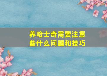 养哈士奇需要注意些什么问题和技巧