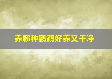 养哪种鹦鹉好养又干净