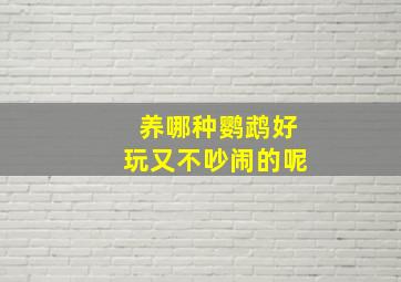 养哪种鹦鹉好玩又不吵闹的呢