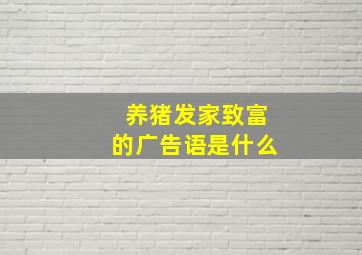 养猪发家致富的广告语是什么