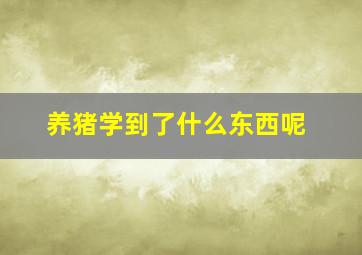 养猪学到了什么东西呢