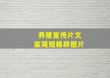 养猪宣传片文案简短精辟图片