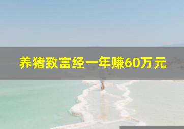 养猪致富经一年赚60万元