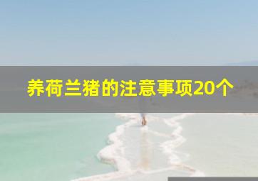 养荷兰猪的注意事项20个