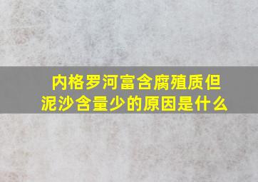 内格罗河富含腐殖质但泥沙含量少的原因是什么