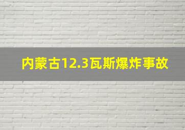 内蒙古12.3瓦斯爆炸事故