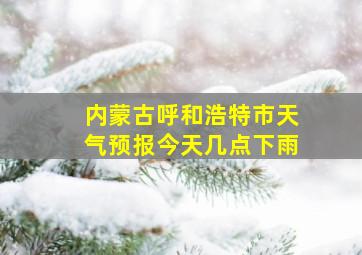 内蒙古呼和浩特市天气预报今天几点下雨