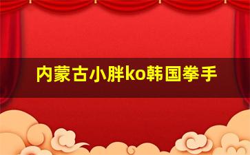 内蒙古小胖ko韩国拳手