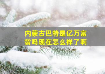 内蒙古巴特是亿万富翁吗现在怎么样了啊